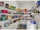 Walk-in pantry with an abundance of shelving, perfect for organized storage of food and household essentials at 7319 Farlin Dr, Whitestown, IN 46075