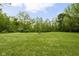 Large backyard with lush green grass, mature trees and a fire pit at 8555 S County Road 375 E, Mooresville, IN 46158