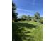 Spacious backyard featuring lush green lawn, trimmed hedges and mature trees under a clear blue sky at 8655 Chateaugay Dr, Indianapolis, IN 46217