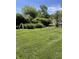 Expansive green backyard with well-manicured lawn, privacy hedges, and partial view of neighboring homes at 8655 Chateaugay Dr, Indianapolis, IN 46217