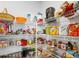 Well-organized walk-in pantry with wire shelving provides ample storage space for food and kitchen essentials at 9717 Chuckwalla Pl, Fishers, IN 46040