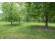 Well-maintained lawn and mature trees in the backyard of this home at 11020 Florida Rd, Fortville, IN 46040