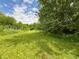 Scenic view of the property line with lush green foliage and mature trees at 12508 N Jackley Rd, Elwood, IN 46036