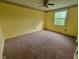 Spacious bedroom featuring neutral carpet, bright yellow walls, and natural light from a large window at 5515 Lunsford Dr, Indianapolis, IN 46237