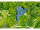 Aerial view showcases a pond with a fountain, surrounded by lush trees and serene landscape at 5730 S 50 W, Trafalgar, IN 46181