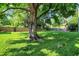 Expansive backyard showcasing lush lawn space with mature trees at 1868 N Hawthorne Ln, Indianapolis, IN 46218