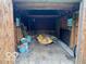 Shed with plenty of room for storage at 1998 Crescent St, Franklin, IN 46131