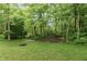Expansive backyard with lush green lawn and mature trees creating a private and serene atmosphere at 527 Macintosh Ln, Danville, IN 46122