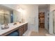 Bright bathroom featuring a vanity, mirror, modern fixtures, and access to closet at 527 Macintosh Ln, Danville, IN 46122