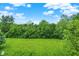 Lush green backyard with mature trees, perfect for outdoor activities and relaxation at 6518 Jade Stream Ct # 312, Indianapolis, IN 46237