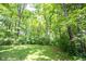 Lush green backyard surrounded by mature trees, providing a private and peaceful outdoor retreat at 7115 Fremont Ct, Indianapolis, IN 46256