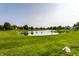 Scenic community pond surrounded by lush green lawns and mature trees under a bright sky at 13815 Plantree Dr, Carmel, IN 46033