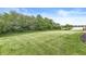 Backyard with a lush green lawn, mature trees, and a serene pond view; great for outdoor enjoyment at 2070 Mustang Chase Dr, Carmel, IN 46074