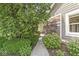 Stone pathway with lush landscaping and mature trees leading to the backyard at 3535 Clearwater Cir, Indianapolis, IN 46240