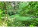 Scenic view of wooded property with lush foliage at 4530 Chase Oak Ct, Zionsville, IN 46077