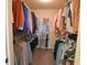 Walk-in closet with extensive shelving, hanging space, and neutral carpeting at 1150 Extraordinary Trl, Greenfield, IN 46140
