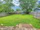 Green backyard offers privacy with wood fence, with ample room for activities at 1336 Lafayette Ave, Columbus, IN 47201
