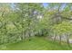 Secluded backyard with a tire swing hanging from a tree, surrounded by lush greenery and mature trees at 20322 Wagon Trail Dr, Noblesville, IN 46060