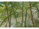 Trees provide a beautiful view of the river at 20322 Wagon Trail Dr, Noblesville, IN 46060