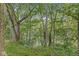 Lush, mature trees provide privacy and a tranquil setting near the water's edge at 20322 Wagon Trail Dr, Noblesville, IN 46060