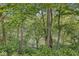 Lush, mature trees provide privacy and a tranquil setting near the water's edge at 20322 Wagon Trail Dr, Noblesville, IN 46060