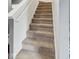 Carpeted staircase with white trim at 2509 Cedarmill Dr, Franklin, IN 46131