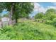 Overgrown backyard with a wooden fence, abundant greenery, and some visible vegetation at 2823 Boulevard Pl, Indianapolis, IN 46208