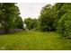 Expansive grassy backyard enclosed by a wooden fence and mature trees, offering a private outdoor space at 3431 W Mooresville Rd, Indianapolis, IN 46221