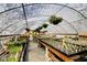 Greenhouse interior filled with various plants, hanging baskets, and ample growing space at 3533 Alexandria Pike, Anderson, IN 46012