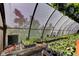 Inside a greenhouse, featuring rows of potted plants and hanging baskets, ready for sale at 3533 Alexandria Pike, Anderson, IN 46012