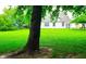 Expansive backyard features lush green lawn and mature trees, creating a serene and private outdoor space at 3862 Cornwallis Ln, Carmel, IN 46032