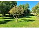 Tree growing in a lush green yard at 3862 Cornwallis Ln, Carmel, IN 46032