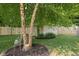 Tranquil backyard with mature trees and a mulch bed, creating a serene outdoor space at 4818 Winthrop Ave, Indianapolis, IN 46205