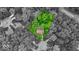 A property boundary shown in green contrasting with the grayscale aerial neighborhood view at 5558 Spicebush Dr, Indianapolis, IN 46254