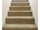 Carpeted stairs with white trim at 855 Gazebo Way # C, Greenwood, IN 46142