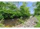 Waterfront view of property's edge at 13297 Highland Springs Dr, McCordsville, IN 46055