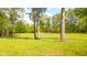Serene backyard view with mature trees and a charming red outbuilding at 1633 W 200 North, Greenfield, IN 46140