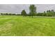 Expansive green backyard bordered by a partial fence and dotted with mature trees at 3387 S County Road 250 W, Danville, IN 46122