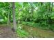 A small creek in a backyard with green grass and mature trees with a small tree fallen in the creek at 4990 E County Road 750 S, Brownsburg, IN 46112