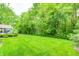 Lush green backyard with a deck, surrounded by mature trees, offering privacy and space at 5404 Cayman Dr, Carmel, IN 46033