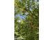 Close-up of an apple tree with ripe apples hanging among the lush green leaves at 7380 N 225 W, Lebanon, IN 46052