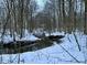A small creek flows through a snow covered forest, offering a peaceful natural view at 7380 N 225 W, Lebanon, IN 46052