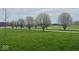 Scenic view of a winding driveway lined with trees, surrounded by lush green grass at 7380 N 225 W, Lebanon, IN 46052