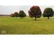 A lush green field with mature trees lining the property for enhanced privacy at 7380 N 225 W, Lebanon, IN 46052