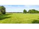 Expansive backyard showcasing a lush lawn and mature trees under a clear sky at 1607 Michelle Manor, Danville, IN 46122