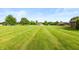 Expansive front yard featuring lush green grass and mature trees bordering the property at 1607 Michelle Manor, Danville, IN 46122