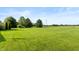 Green lawn with assorted shade trees on a large lot at 1607 Michelle Manor, Danville, IN 46122