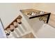 Custom pet fixtures for feeding and climbing at 1834 Chandler Ln, Columbus, IN 47203