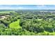 Wide shot aerial view of property and neighborhood surrounded by green trees at 5953 Deer Hollow Ct, Pittsboro, IN 46167