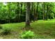 A beautiful backyard with lush green lawn, mature trees, and colorful flowers creating a serene atmosphere at 6190 Red Day Rd, Martinsville, IN 46151